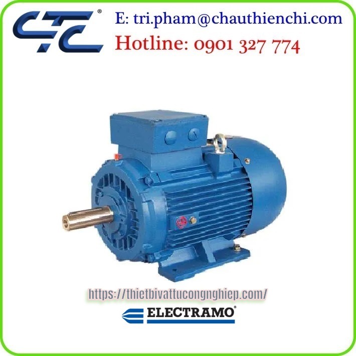 Động cơ điện hạ thế Electramo
