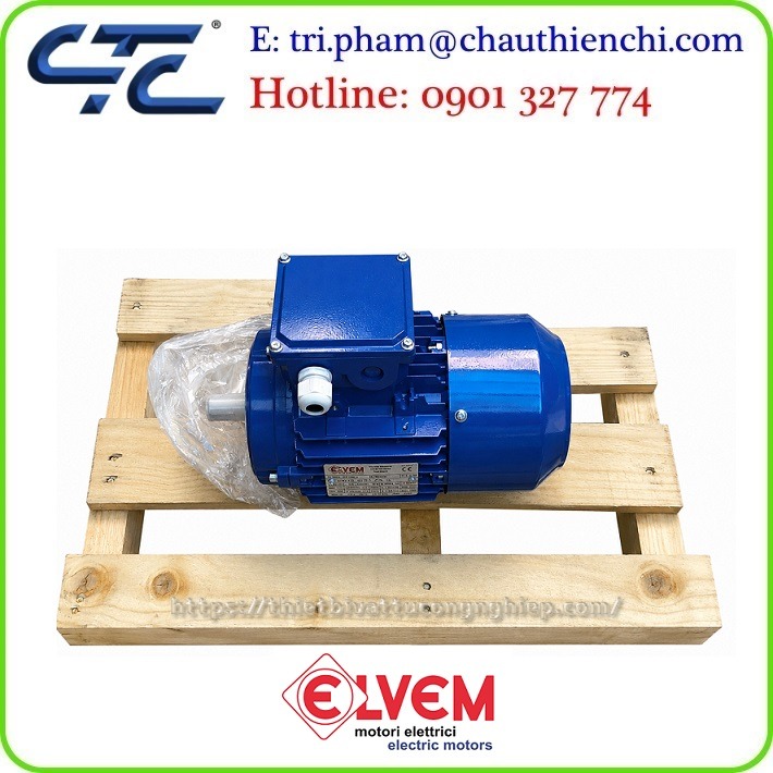 Động cơ điện Elvem Động cơ ELVEM Electric Motors